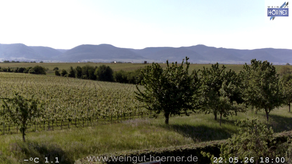 Webcam Weinberge Hochstadt