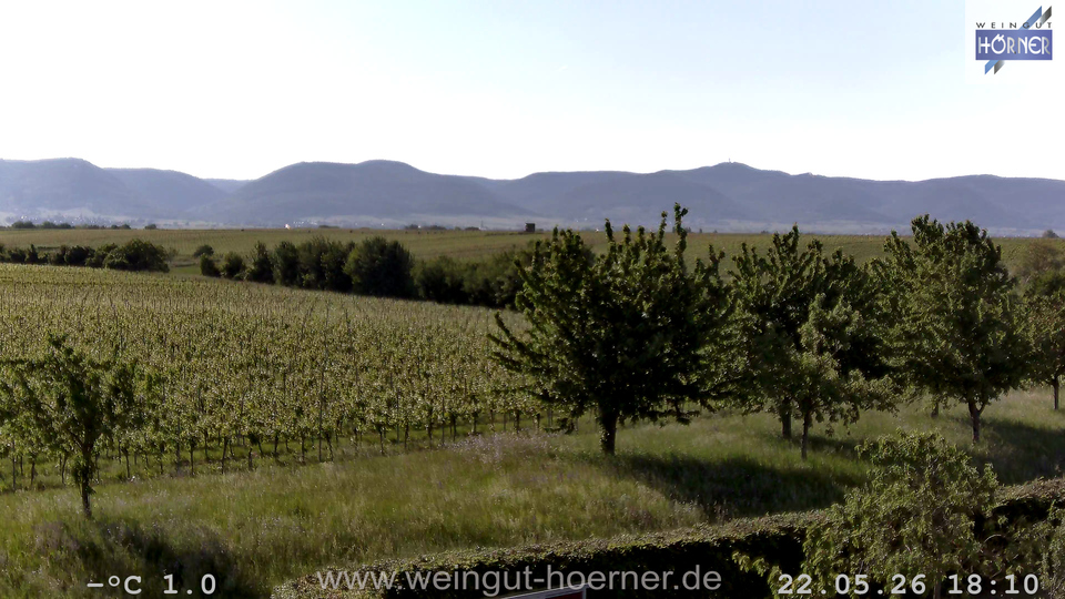 Webcam Weinberge Hochstadt