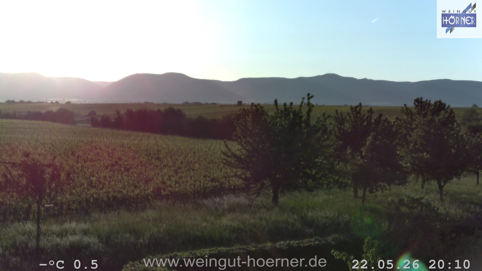 Webcam Weinberge Hochstadt
