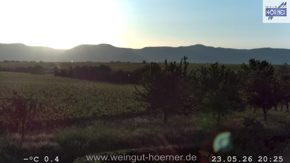 Webcam Weinberge Hochstadt