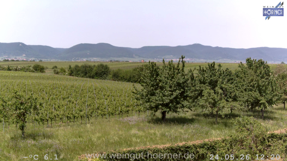 Webcam Weinberge Hochstadt