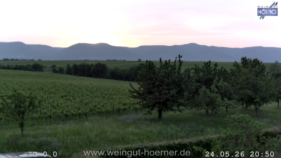 Webcam Weinberge Hochstadt