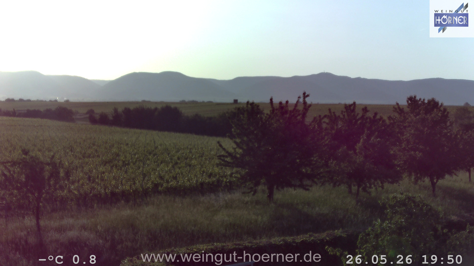 Webcam Weinberge Hochstadt