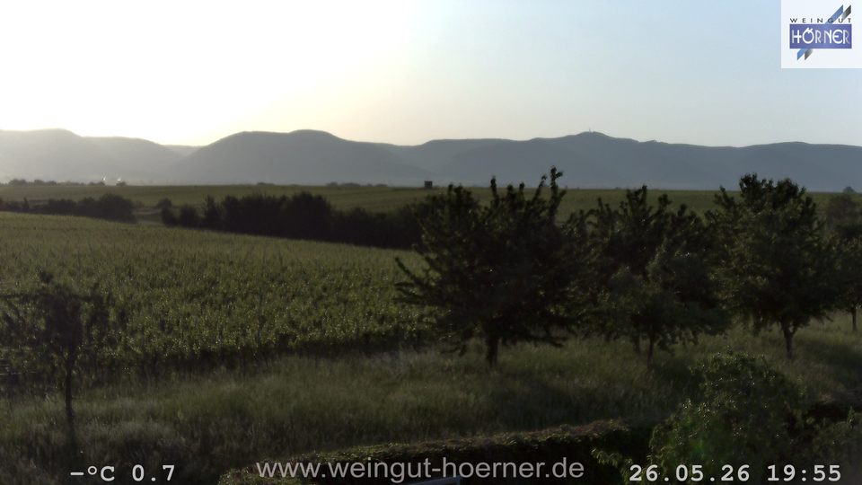 Webcam Weinberge Hochstadt