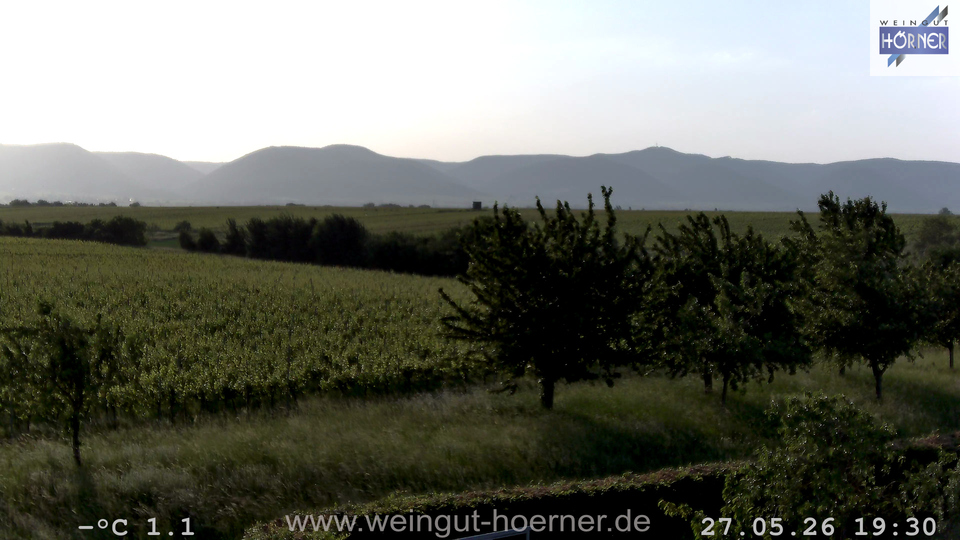 Webcam Weinberge Hochstadt