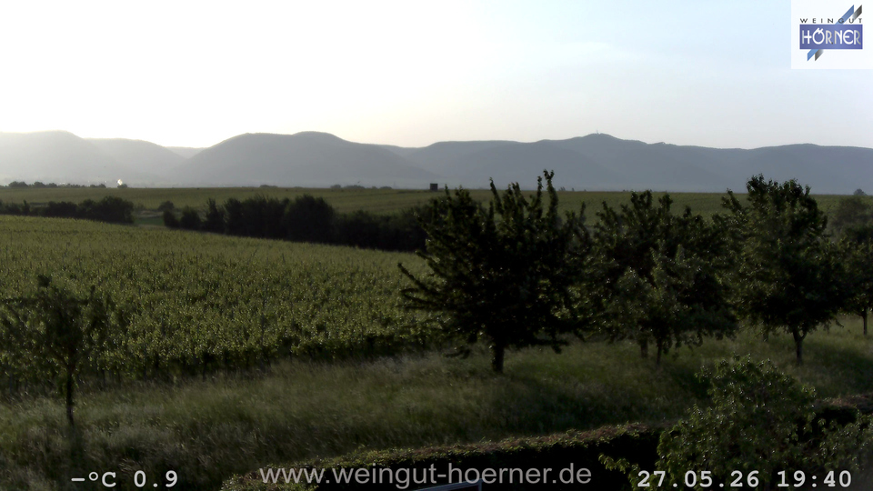 Webcam Weinberge Hochstadt