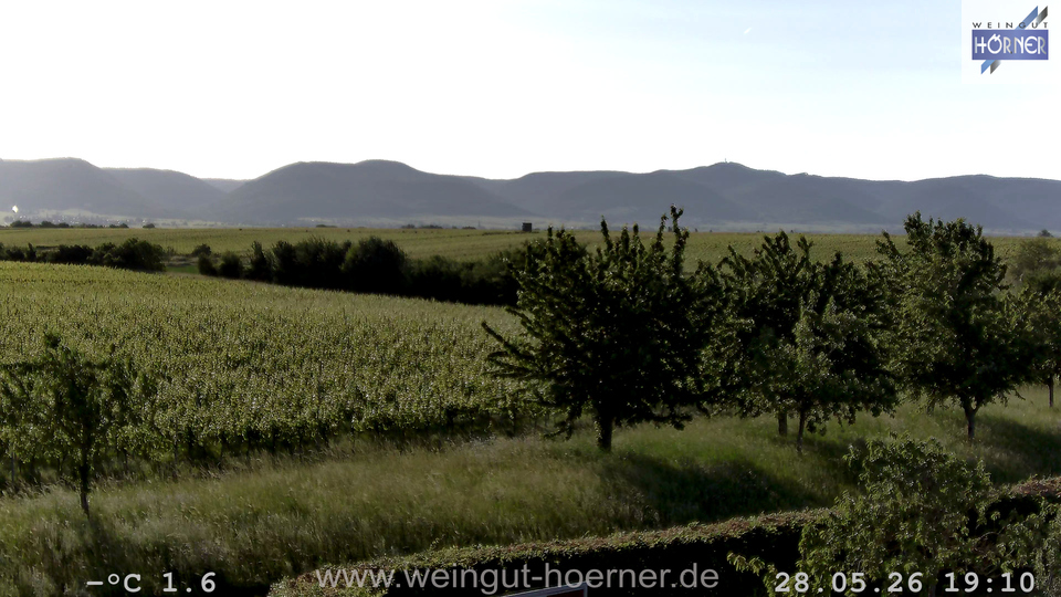 Webcam Weinberge Hochstadt