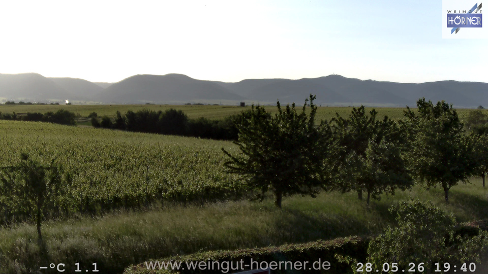 Webcam Weinberge Hochstadt