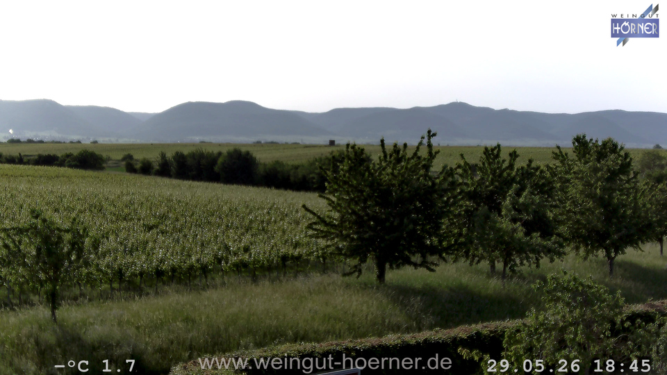 Webcam Weinberge Hochstadt
