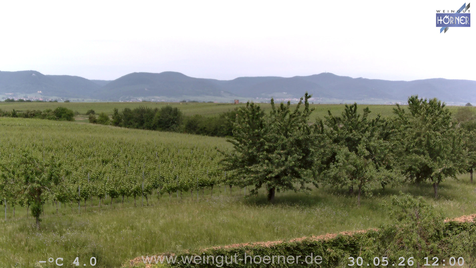 Webcam Weinberge Hochstadt