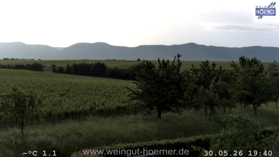 Webcam Weinberge Hochstadt