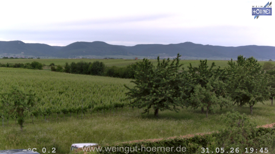 Webcam Weinberge Hochstadt