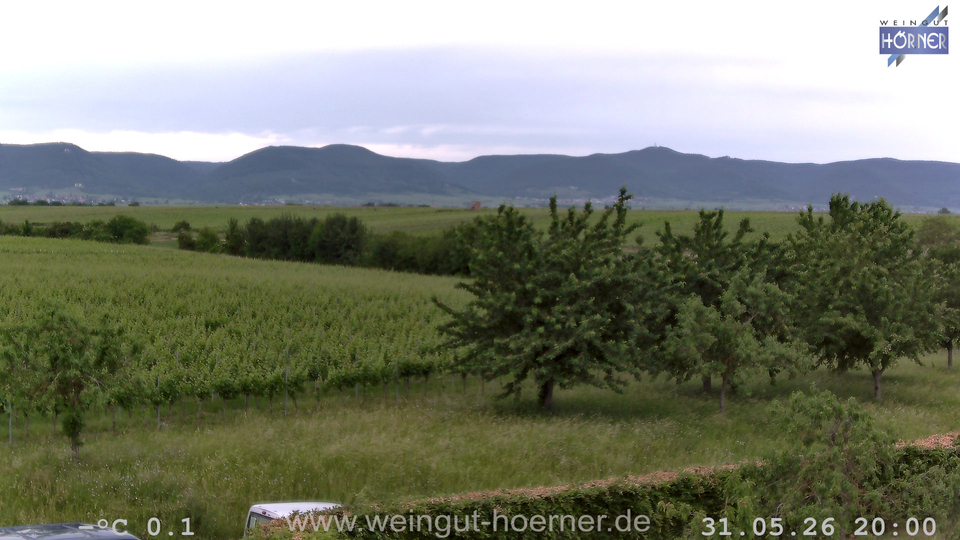 Webcam Weinberge Hochstadt