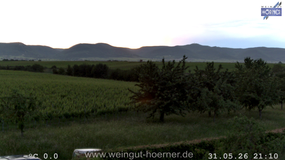 Webcam Weinberge Hochstadt