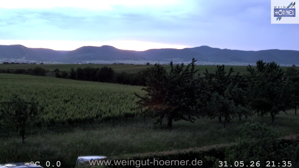 Webcam Weinberge Hochstadt