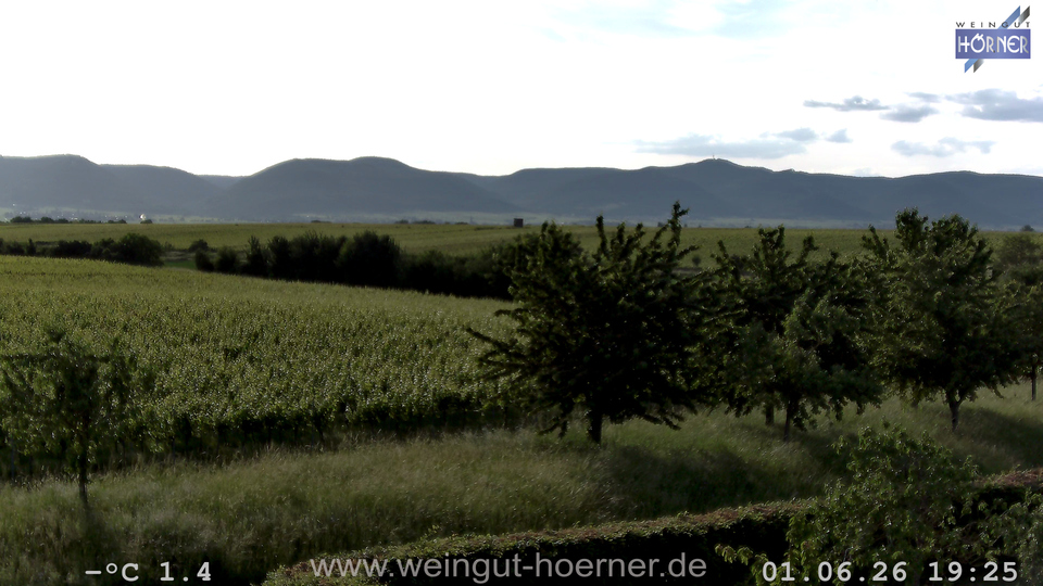 Webcam Weinberge Hochstadt