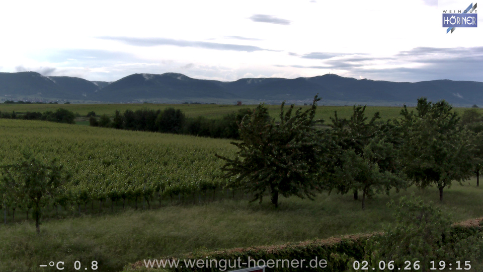 Webcam Weinberge Hochstadt