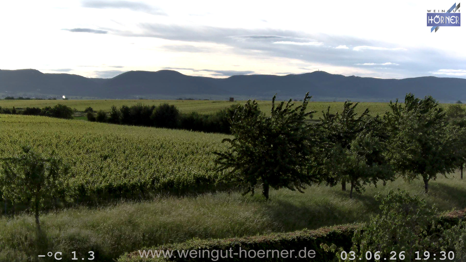 Webcam Weinberge Hochstadt