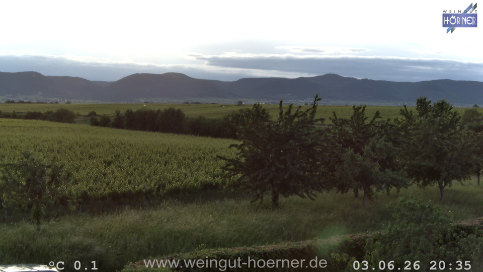 Webcam Weinberge Hochstadt