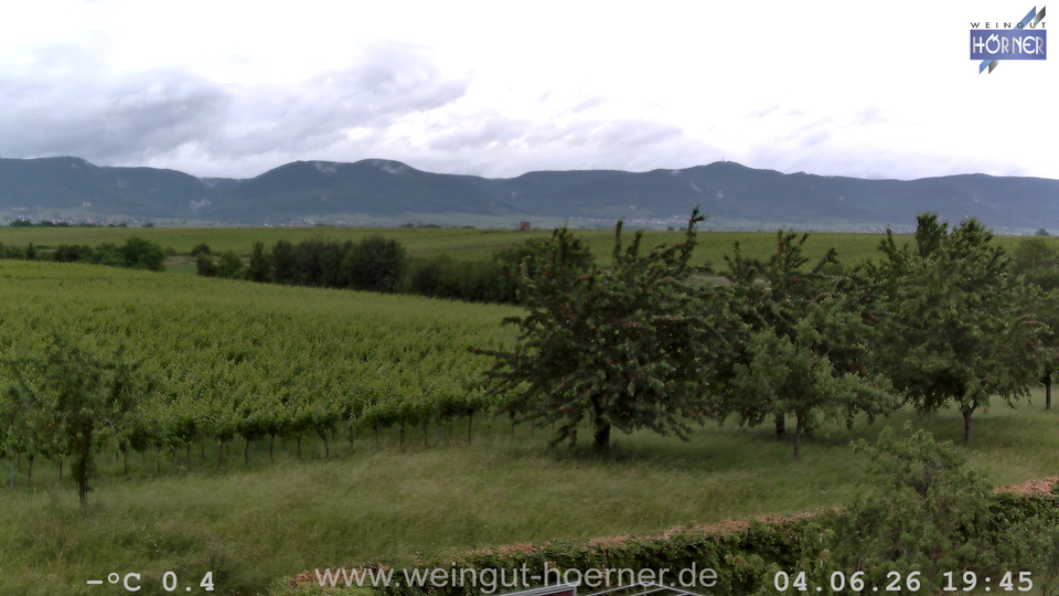 Webcam Weinberge Hochstadt