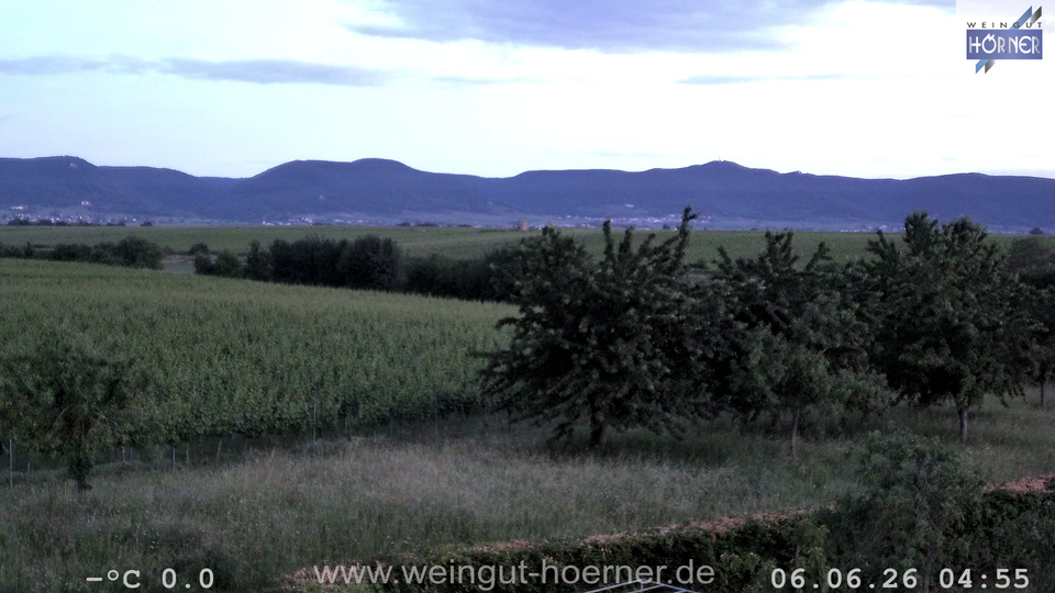 Webcam Weinberge Hochstadt
