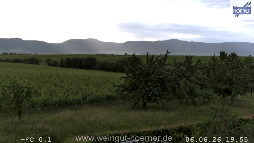 Webcam Weinberge Hochstadt