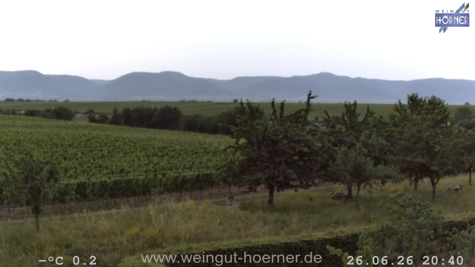 Webcam Weinberge Hochstadt
