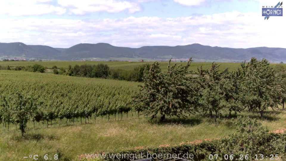 Webcam Weinberge Hochstadt