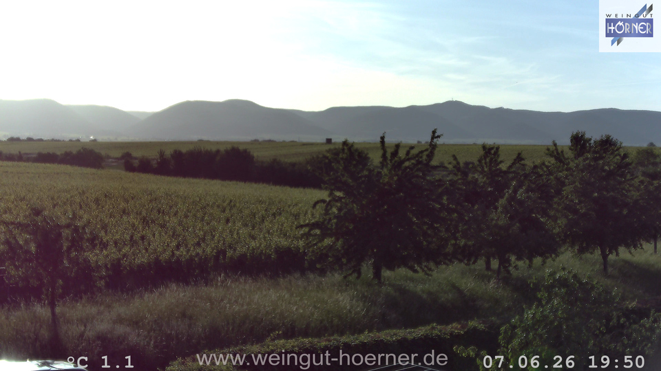 Webcam Weinberge Hochstadt