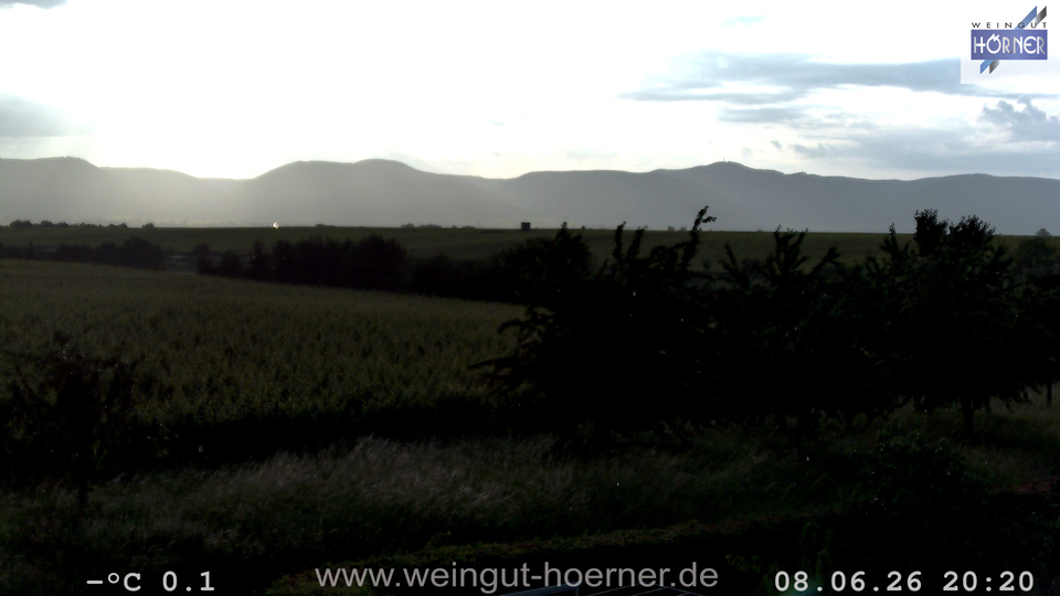 Webcam Weinberge Hochstadt