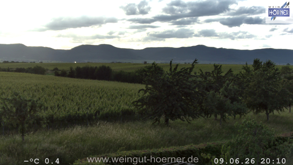 Webcam Weinberge Hochstadt