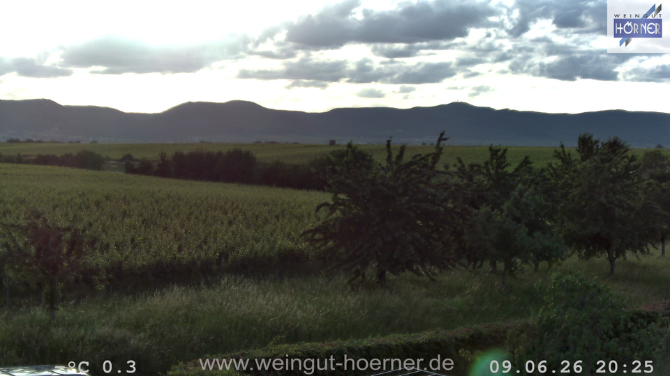 Webcam Weinberge Hochstadt