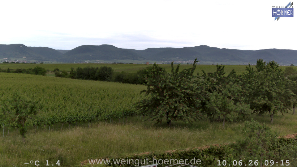 Webcam Weinberge Hochstadt