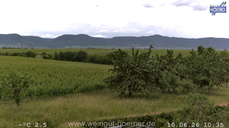 Webcam Weinberge Hochstadt
