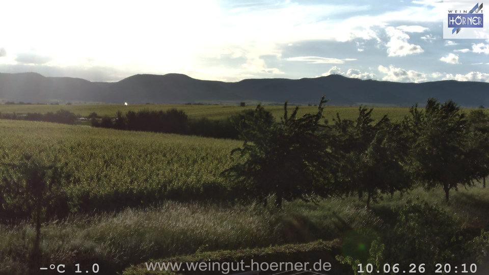 Webcam Weinberge Hochstadt