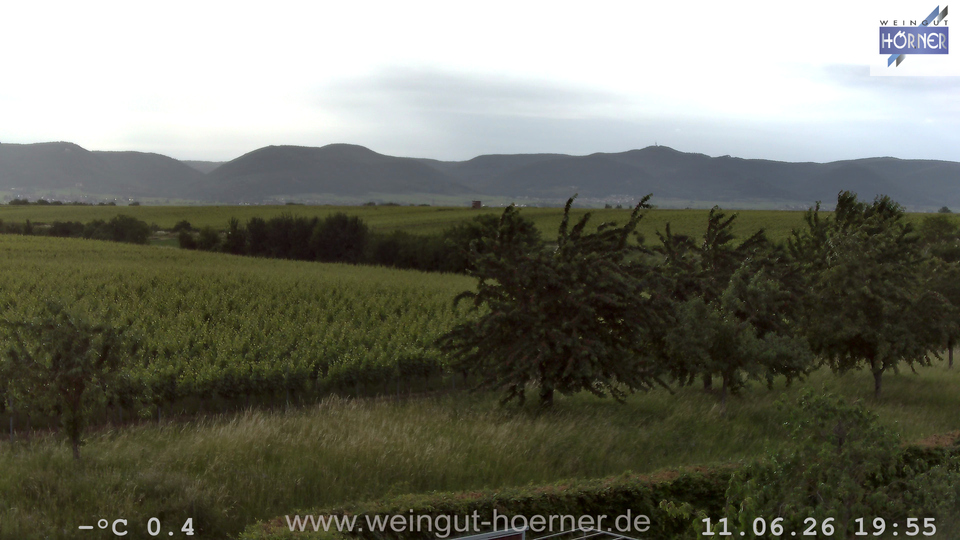Webcam Weinberge Hochstadt