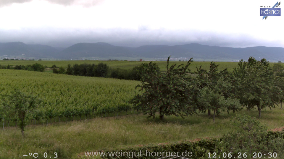 Webcam Weinberge Hochstadt
