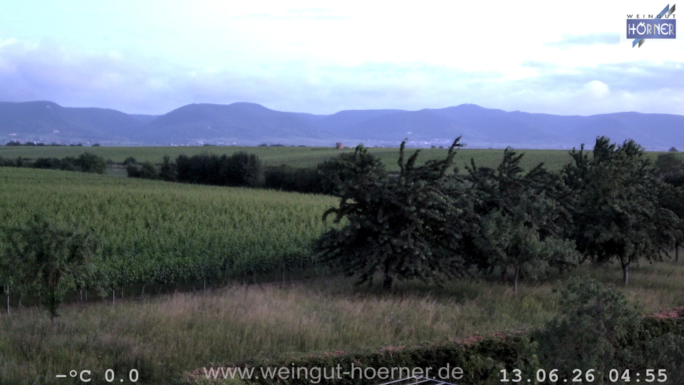 Webcam Weinberge Hochstadt