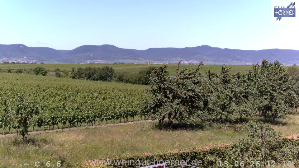 Webcam Weinberge Hochstadt