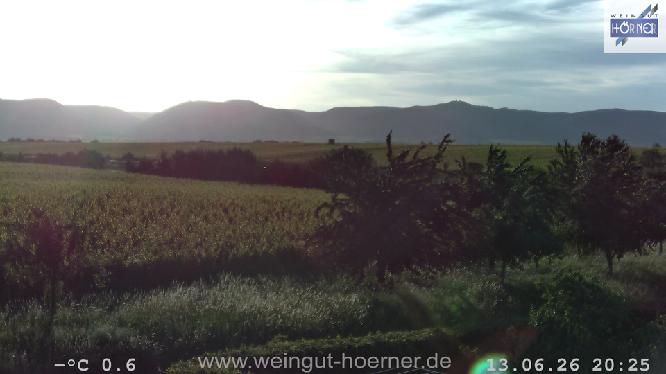Webcam Weinberge Hochstadt