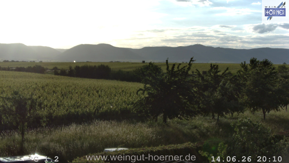 Webcam Weinberge Hochstadt