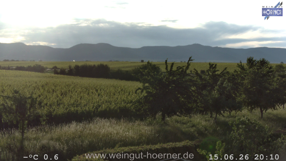 Webcam Weinberge Hochstadt