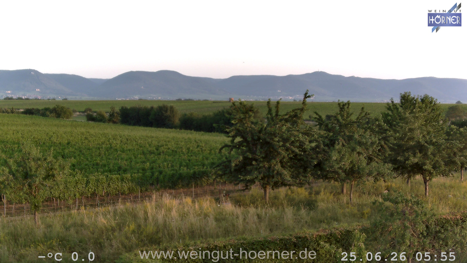 Webcam Weinberge Hochstadt