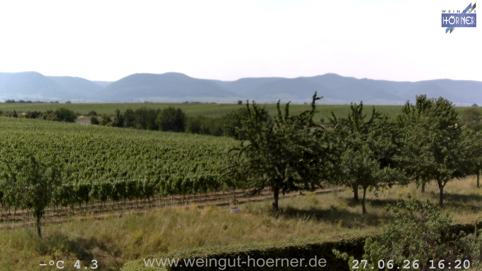 Webcam Weinberge Hochstadt