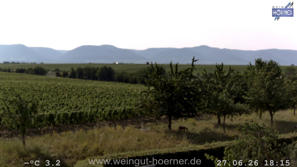 Webcam Weinberge Hochstadt