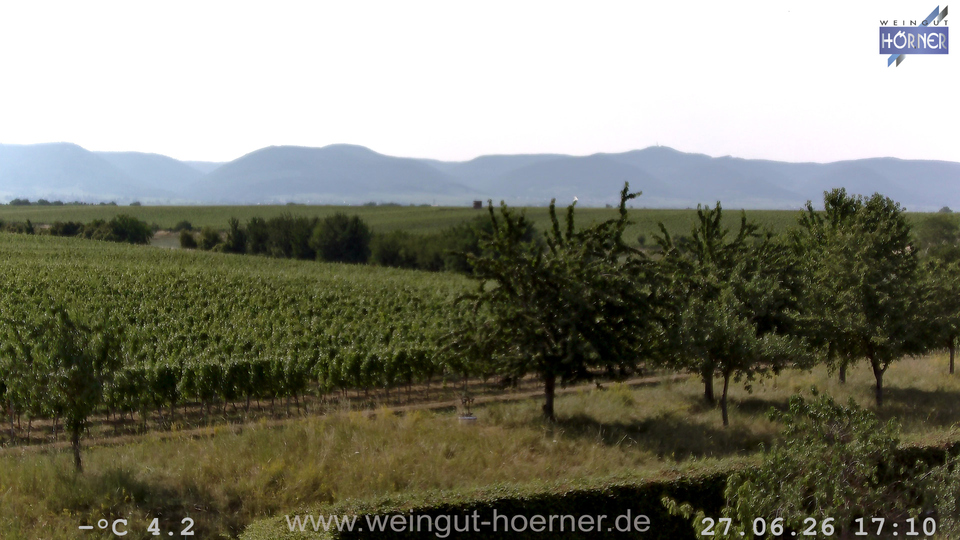 Webcam Weinberge Hochstadt