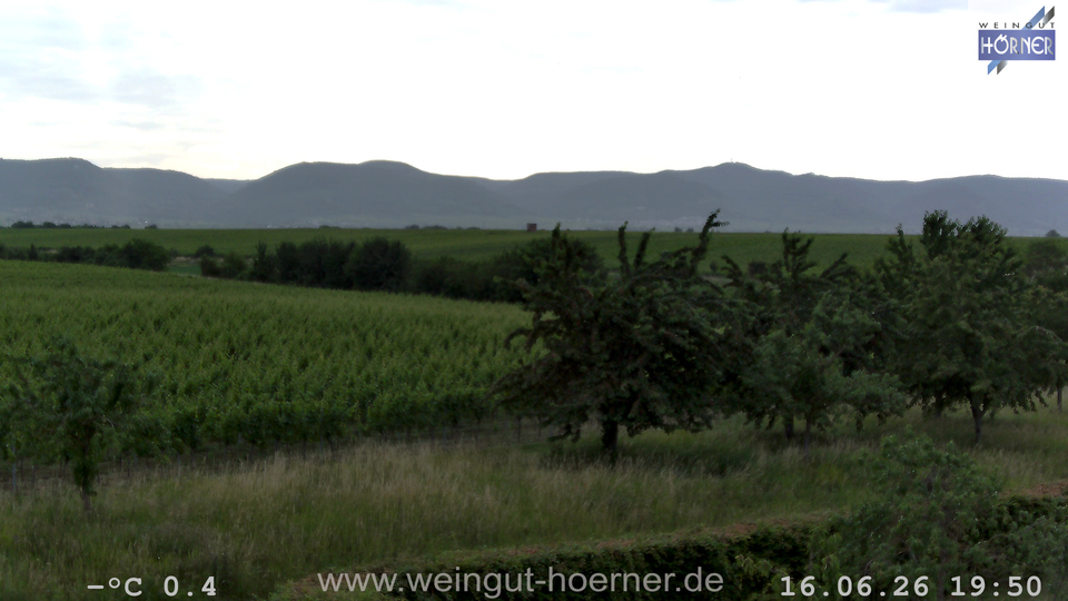 Webcam Weinberge Hochstadt