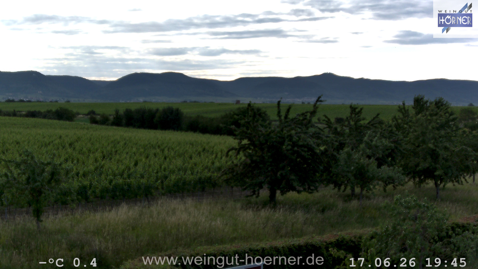 Webcam Weinberge Hochstadt