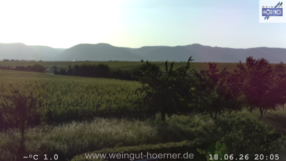 Webcam Weinberge Hochstadt