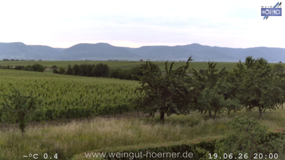Webcam Weinberge Hochstadt